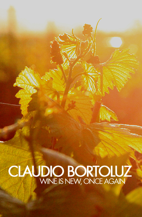 Wine Is New, Once Again | Interview: Claudio Bortoluz