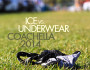 Ice Vs. Underwear | Coachella 2014